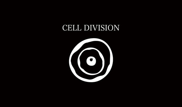 【9/20新作】”Cell Division Upcycle” ”Cell Division exclusive custom T-shirts” 発売！