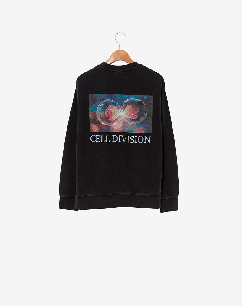 Cell Division Upcycle CRW Sweat