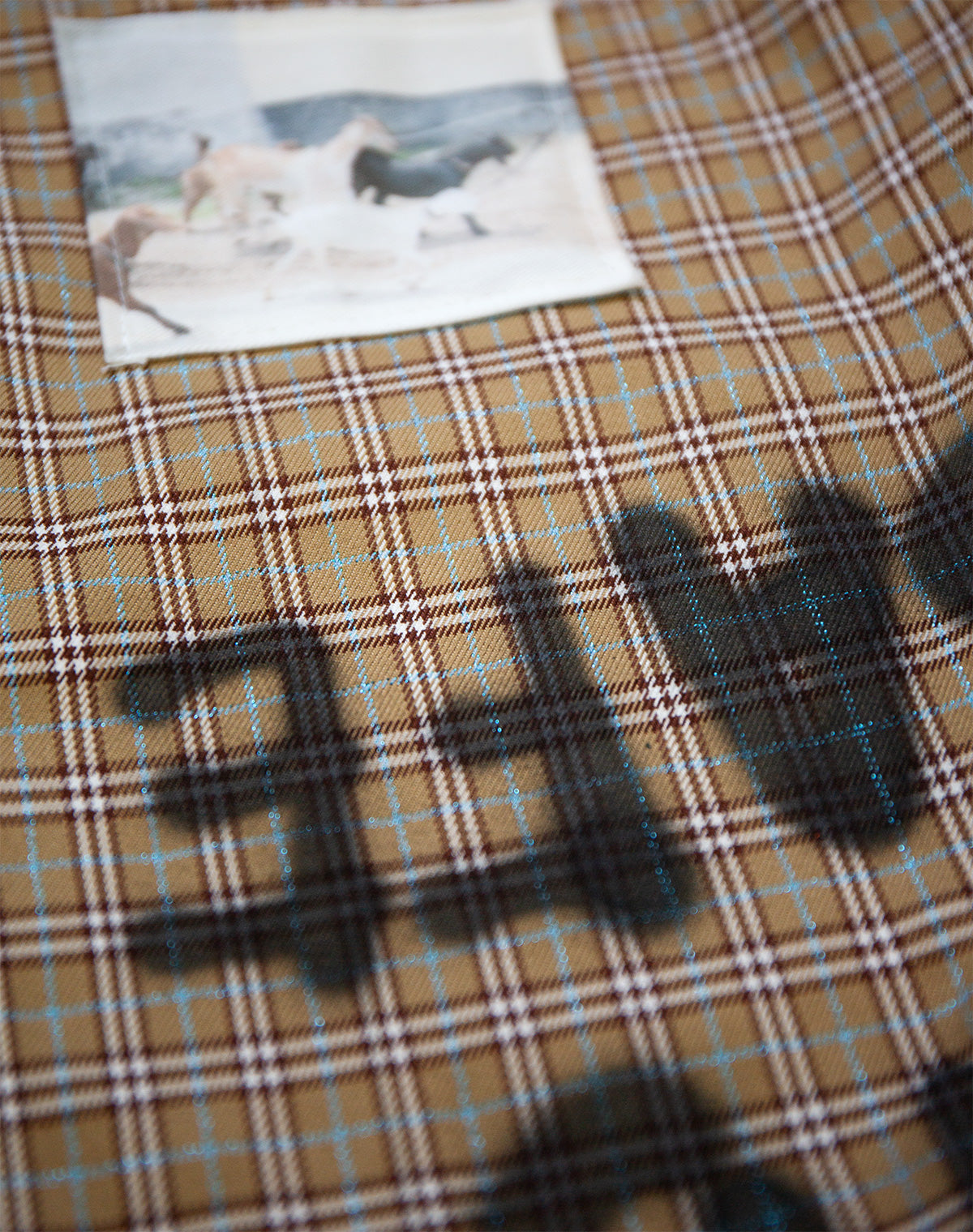 Check Shirt (Cell Division) – guernika official online shop